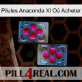 Pilules Anaconda Xl Où Acheter 15